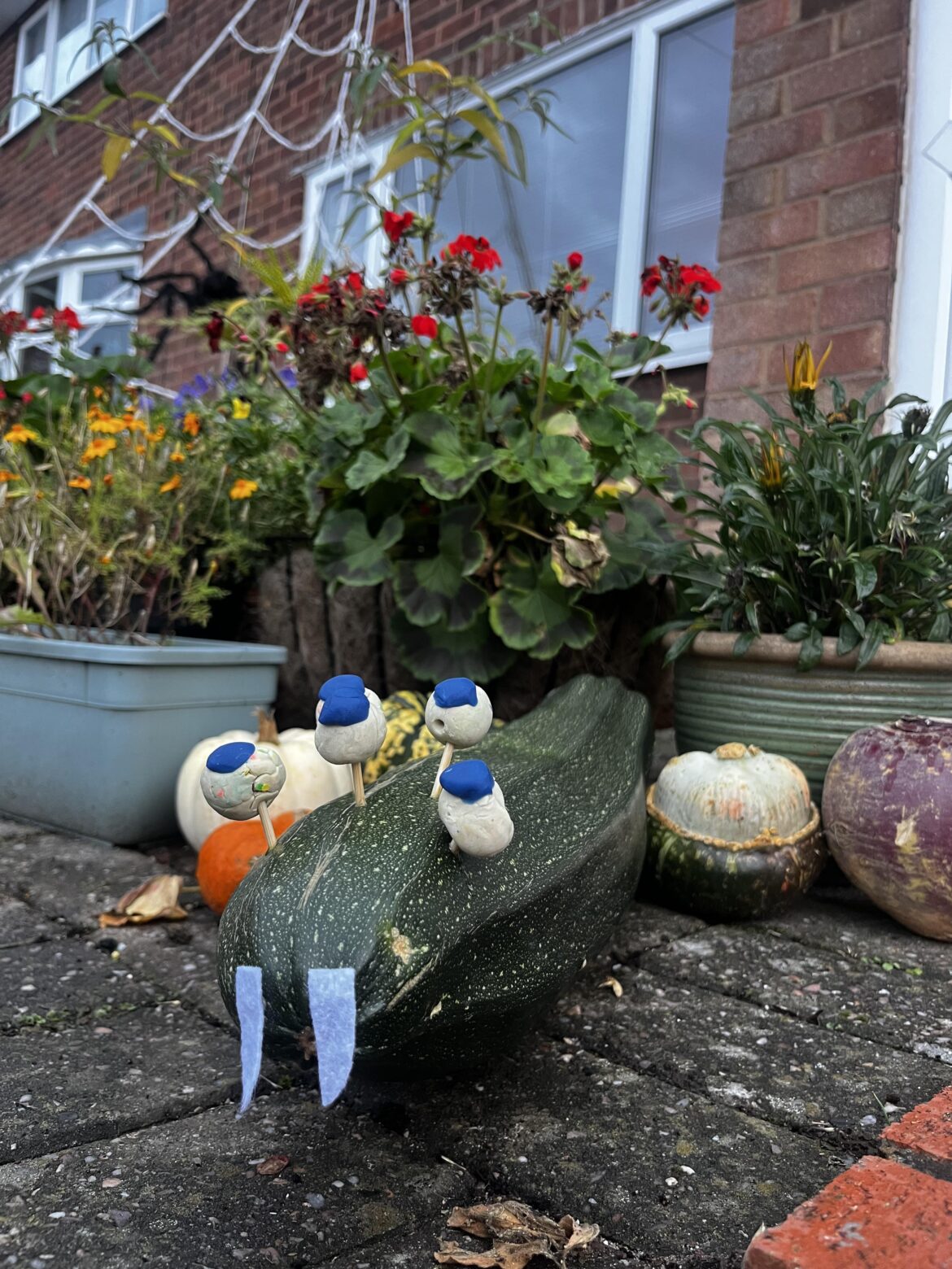 Making use of the marrow for spooky season. Name ideas? 😃