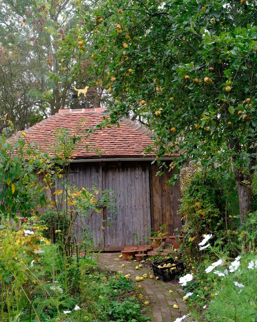 Monty Don shed 