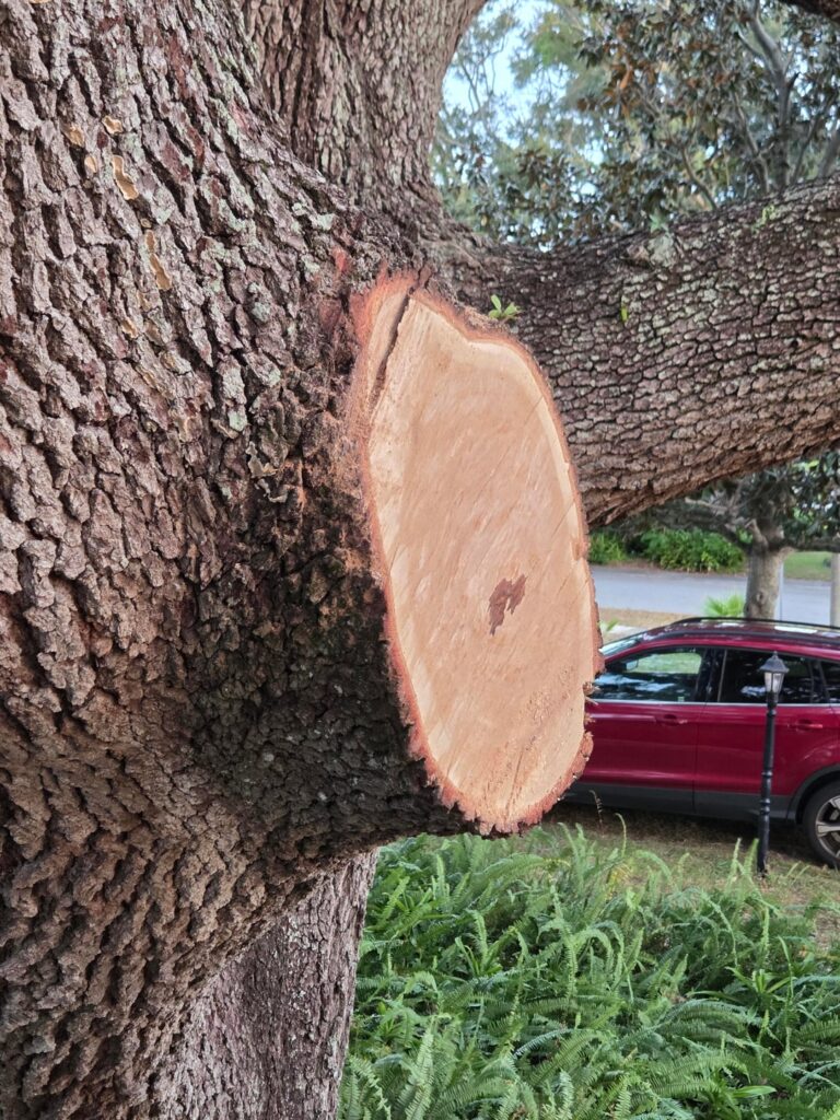 Will this heal properly?