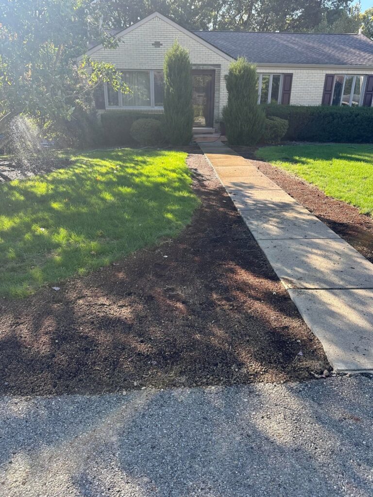 Removed old mulch bed, added topsoil and planted seed 13 days ago. Thoughts? Removed old mulch bed, added topsoil and planted seed 13 days ago. Thoughts?