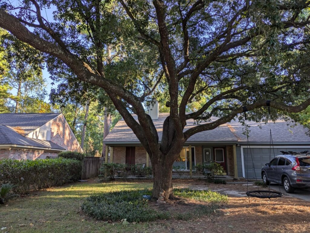 Should I be worried about the included bark on this 40yo live oak