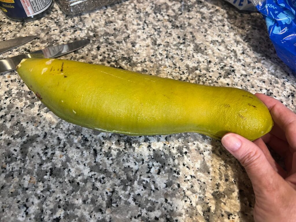 Big Mystery Pod (sorry, pod only)