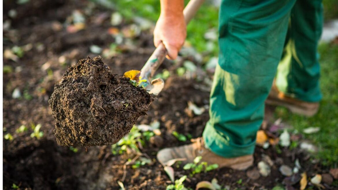 The Department of Health warns WA gardeners to take care with potting mix as Legionnaires risk rises in spring The Department of Health warns WA gardeners to take care with potting mix as Legionnaires risk rises in spring