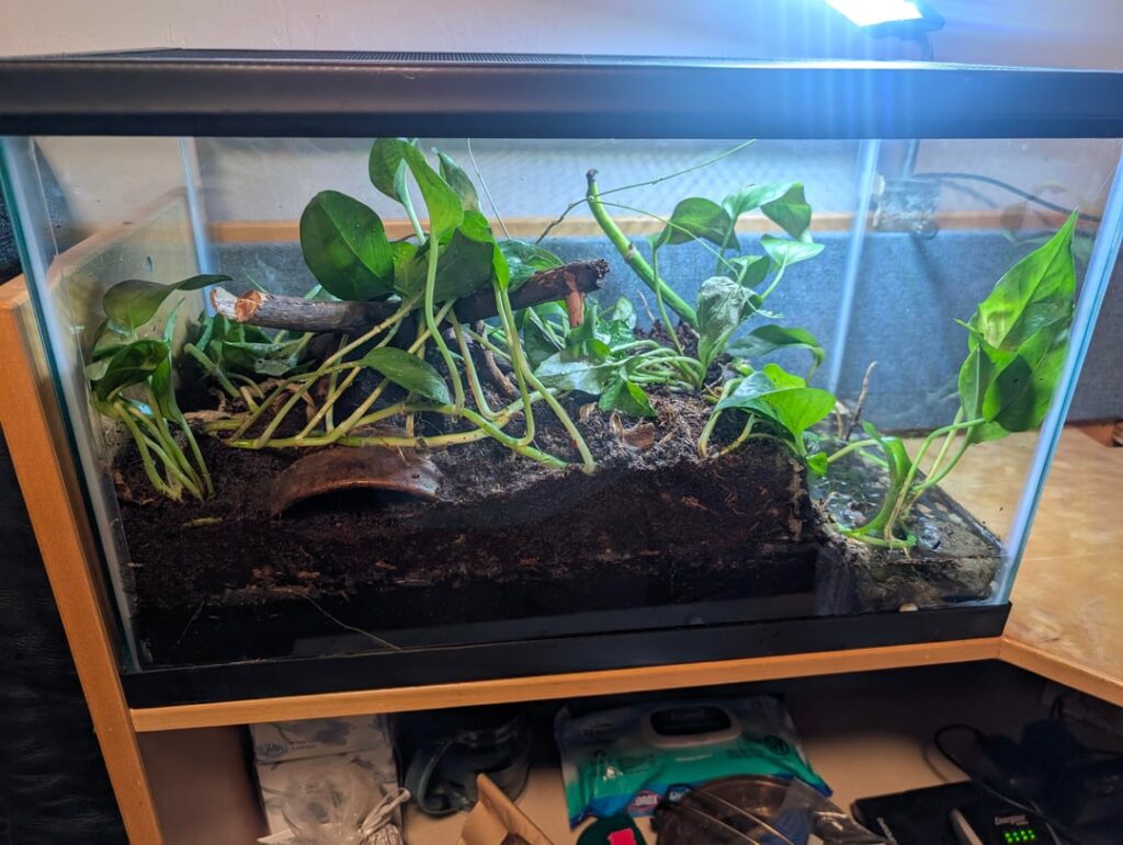 Stocking ideas? Stocking ideas?