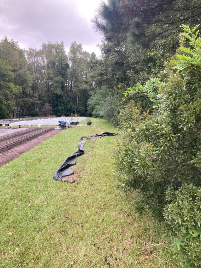 How to handle this tree line? How to handle this tree line?