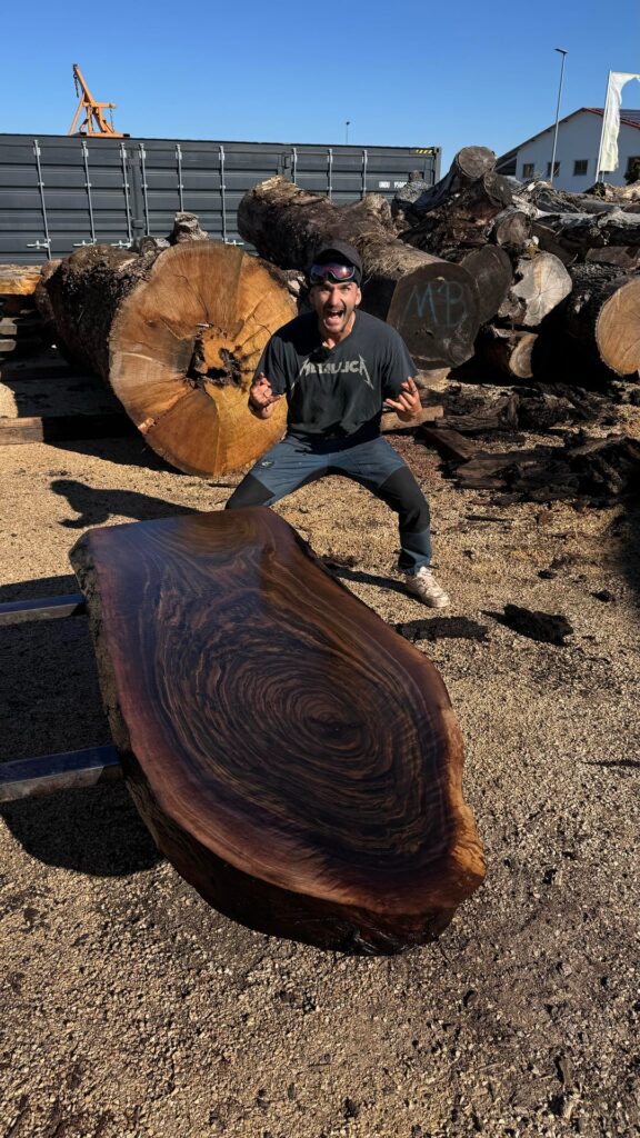 I cut a big black walnut