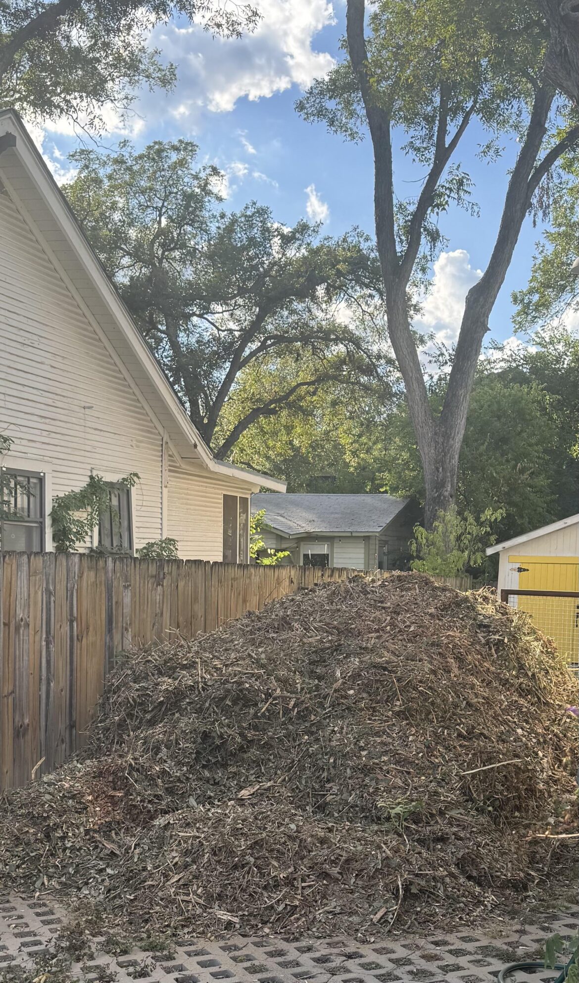 Free mulch North Loop/Hyde Park