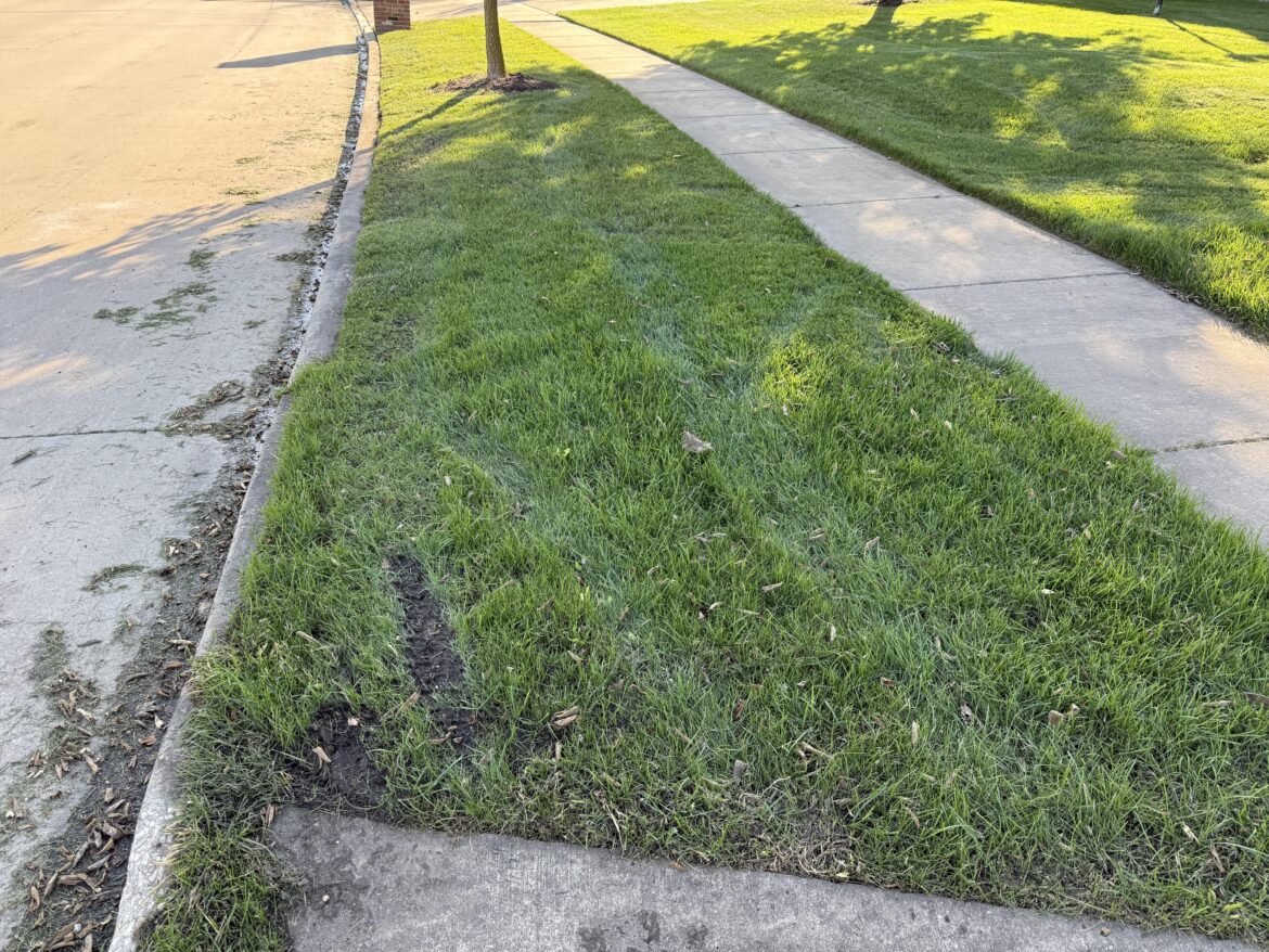 Neighbor’s lawn care company damaged my yard Neighbor's lawn care company damaged my yard