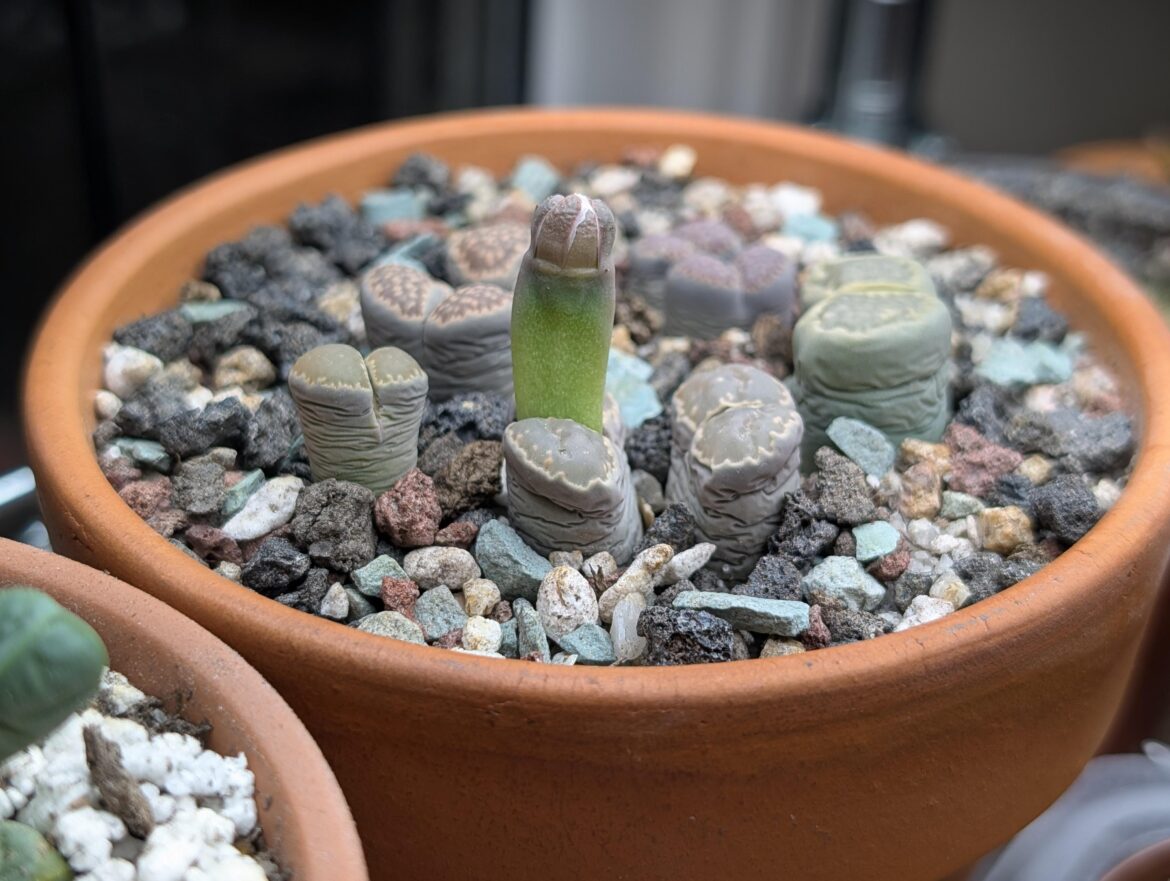 Why does it have to look so freaky? 🤣