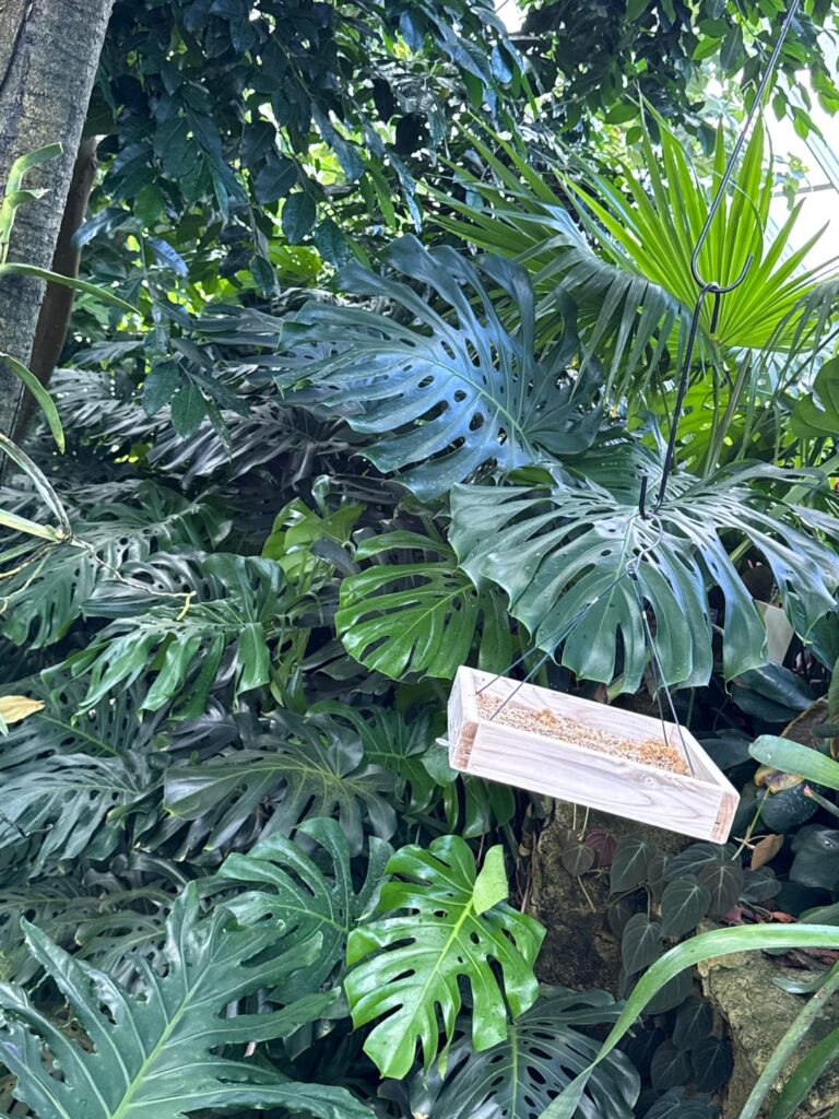 Local botanical garden!