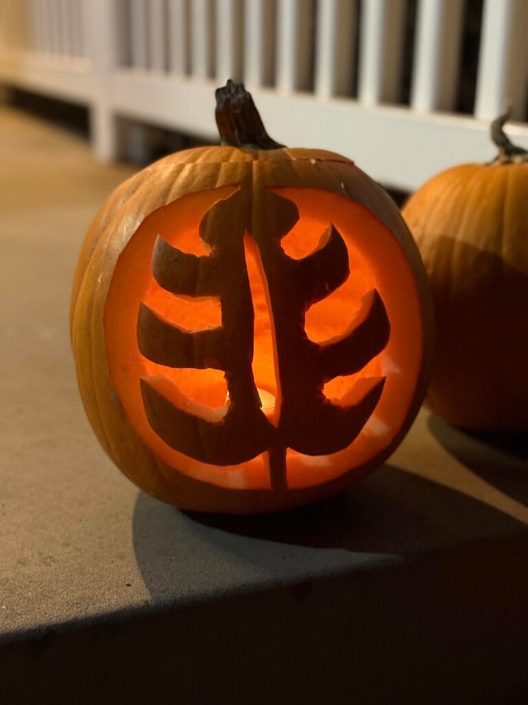 My plant-o-lantern! 🪴🎃