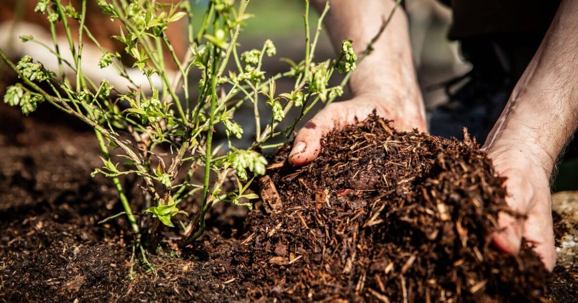 Gardeners given ‘false autumn’ alert with 3 jobs to do by September 22 Gardeners given 'false autumn' alert with 3 jobs to do by September 22