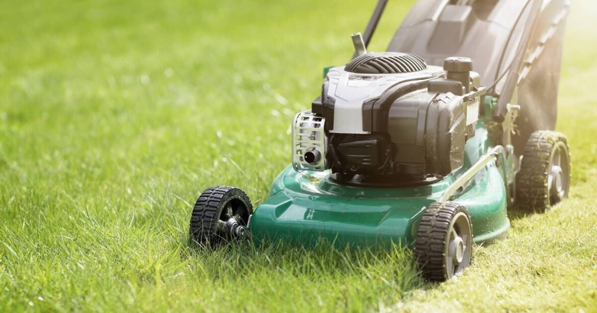 Neighbour's bizarre lawn tactic causes unfixable problem