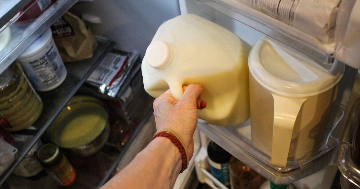Gardeners told 'never throw away expired milk' as it has 'excellent' hidden use