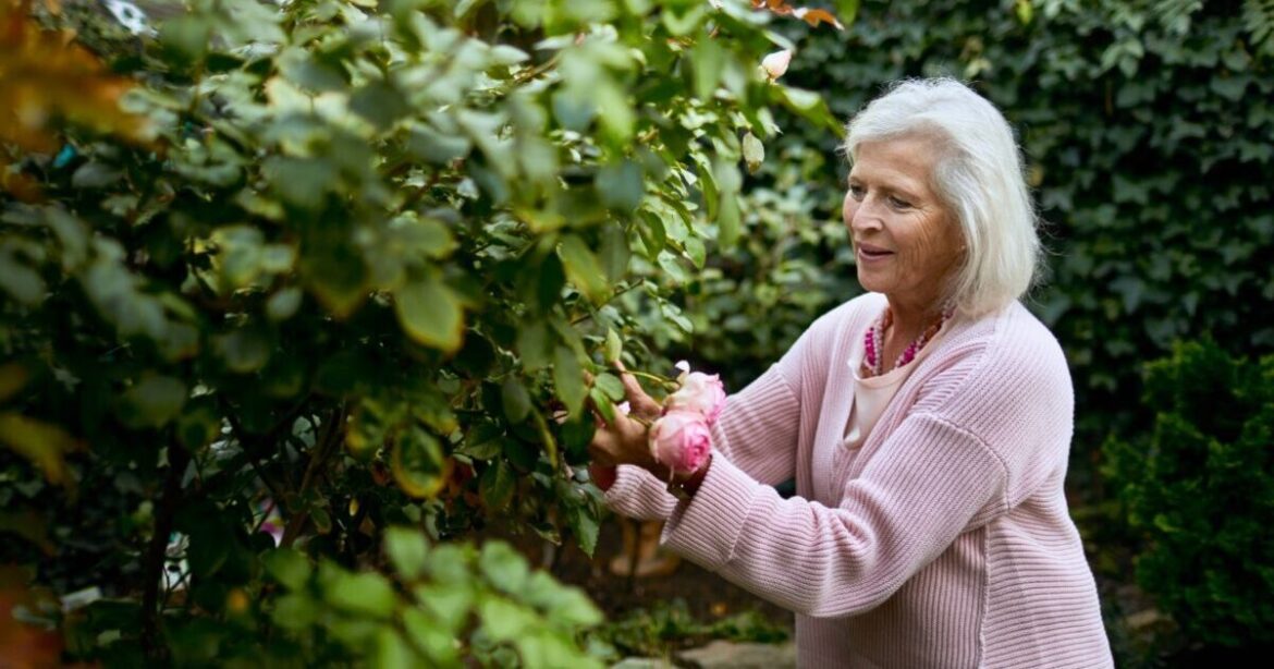 Gardeners praise secateurs that 'require very little effort'