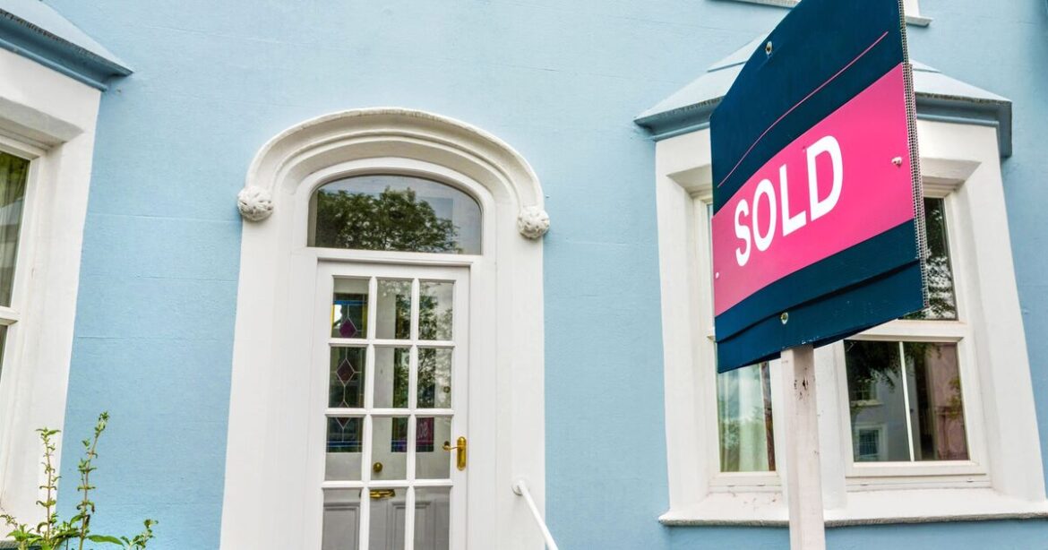 Homeowners warned four plants 'could cost them thousands'