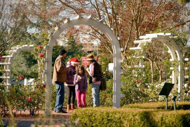 The Luther Burbank Home & Garden's will hold its Holiday Open House on Saturday and Sunday with tours of the house decked out for Christmas, a scavenger hunt and other activities for kids and gifts to give. (Alvin Jornada / The Press Democrat.)