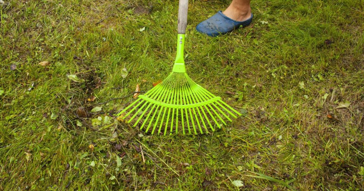 Gardeners must rake lawn in October for important reason