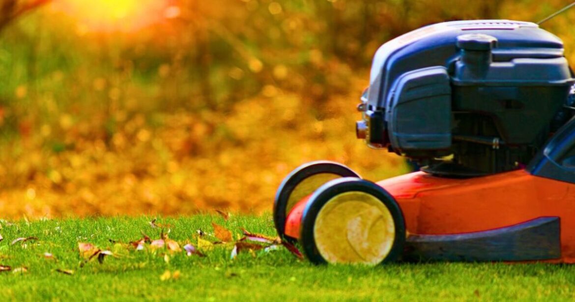 Gardeners should stop mowing lawns now or risk brittle damaged grass next year Gardeners should stop mowing lawns now or risk brittle damaged grass next year