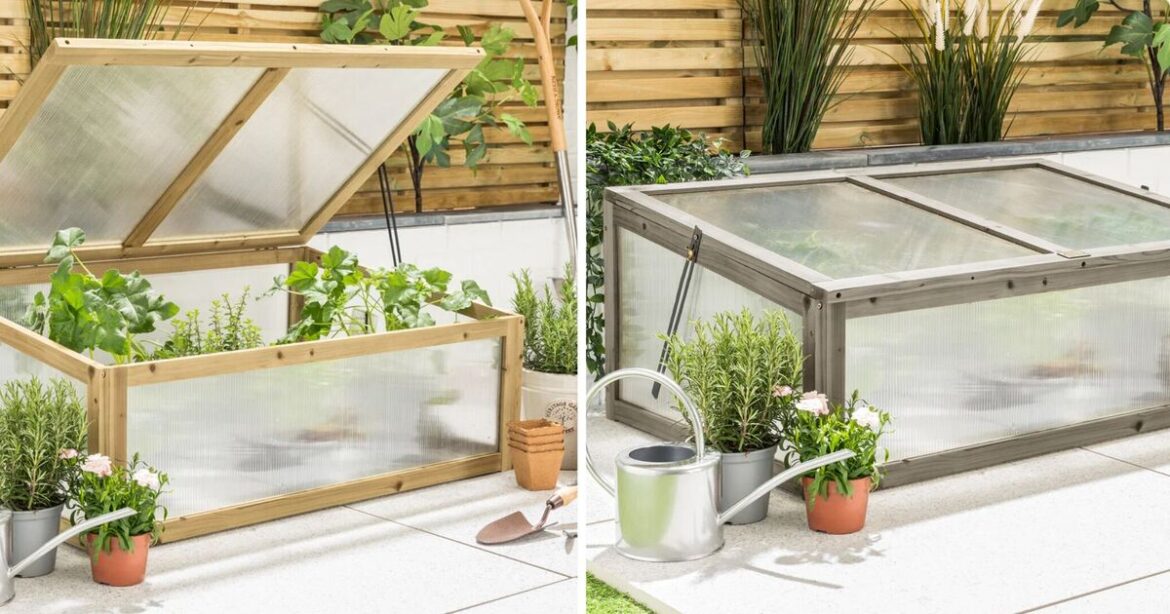 Cold frame ideal for protecting plants in winter now 60% off Cold frame ideal for protecting plants in winter now 60% off