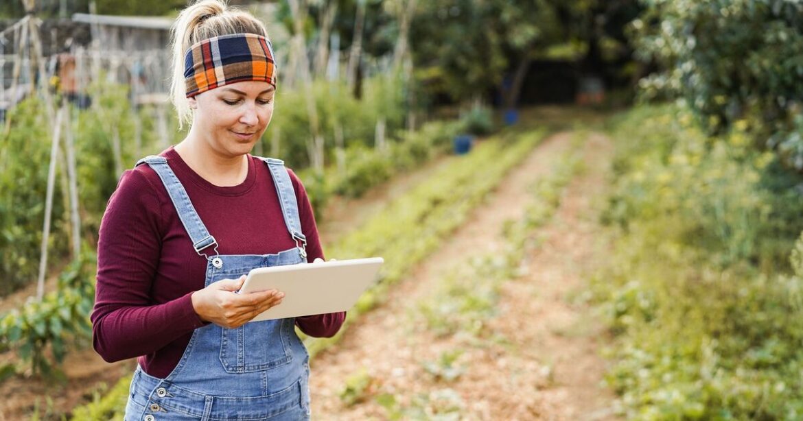 Gardeners urged to do 1 key autumn lawn job now – before it’s too late Gardeners urged to do 1 key autumn lawn job now - before it's too late