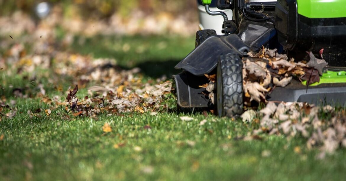 I asked 4 gardening experts how to prevent a brittle lawn in winter