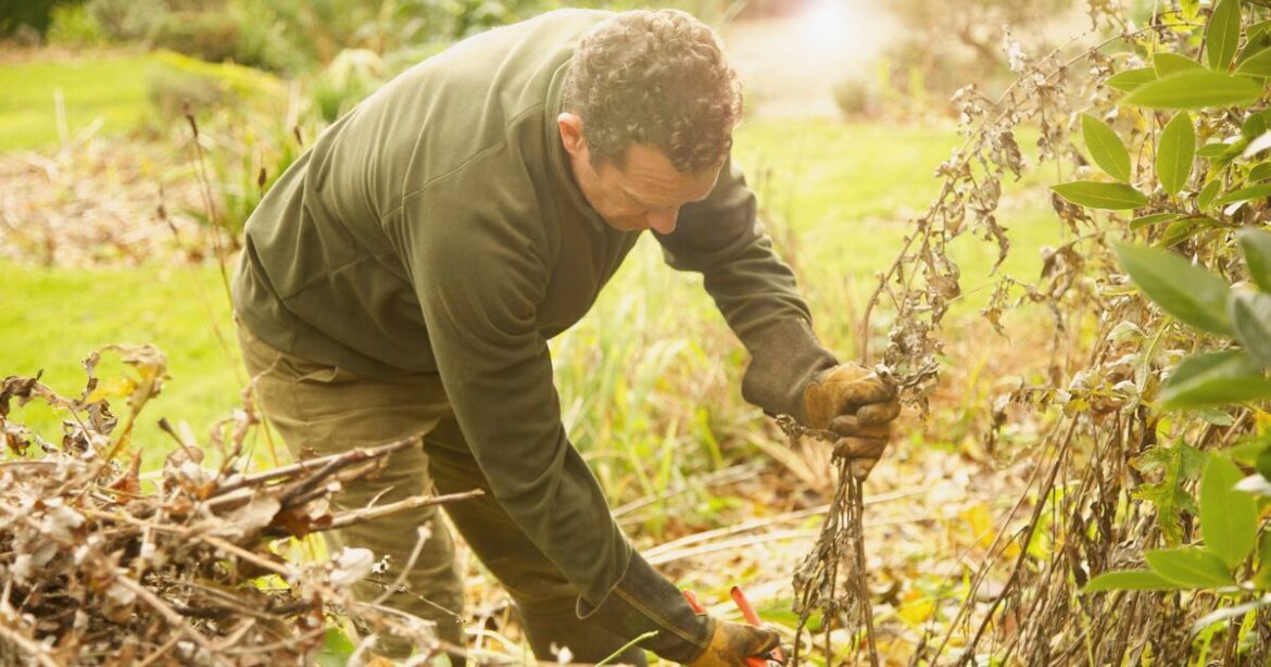 Gardeners urged to do 6 key jobs in October before the winter Gardeners urged to do 6 key jobs in October before the winter
