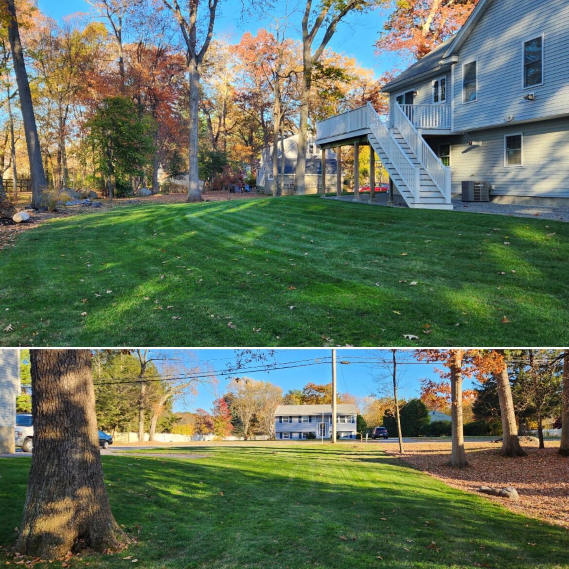 The Struggle is Real