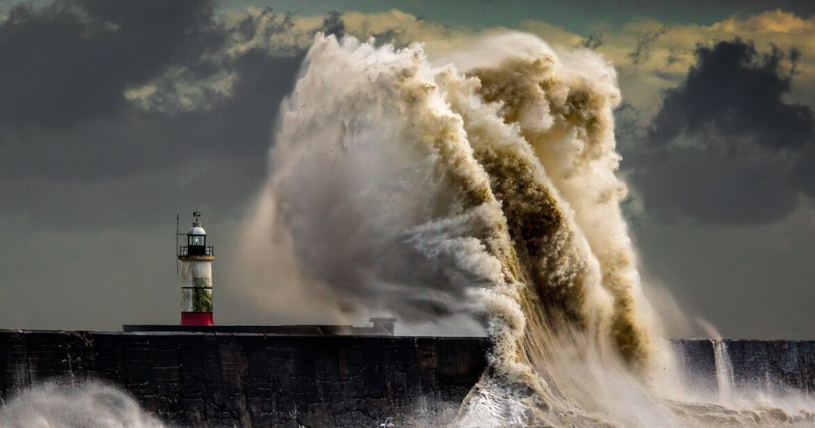 Gardeners urged to do three key things before Storm Benjamin hits Gardeners urged to do three key things before Storm Benjamin hits