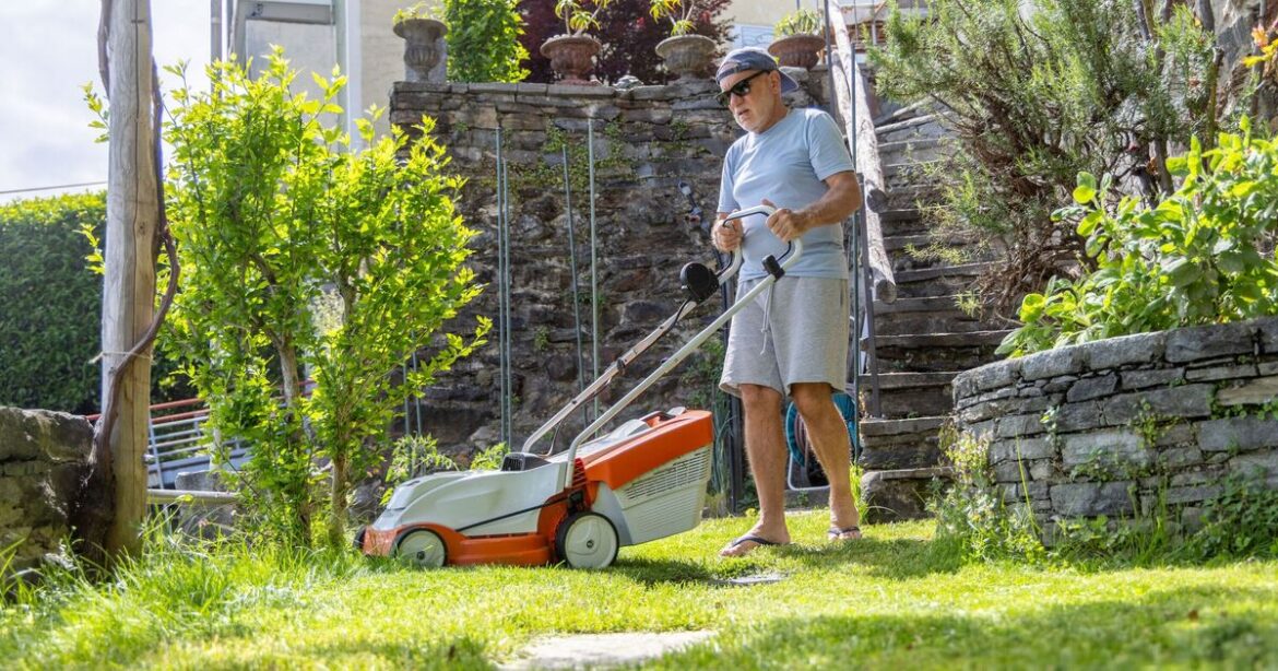 ‘I’m a garden expert – this is the exact temperature to stop mowing your lawn’ ‘I’m a garden expert - this is the exact temperature to stop mowing your lawn’