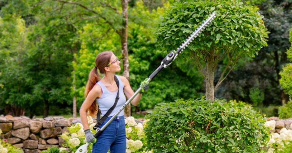 Hedge trimmer with 48% off ‘makes gardening much easier’ Hedge trimmer with 48% off 'makes gardening much easier'