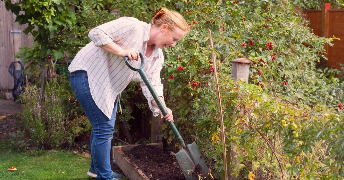 ‘I’m a gardening expert – do these 3 jobs now to have the best garden’ 'I'm a gardening expert - do these 3 jobs now to have the best garden'