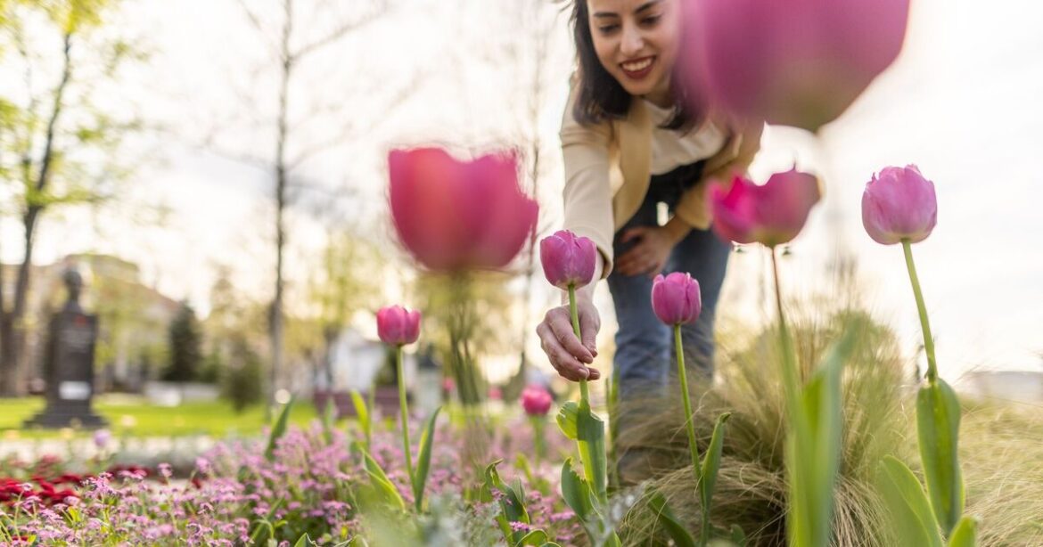 Gardeners urged to plant 1 flower bulb now in October Gardeners urged to plant 1 flower bulb now in October