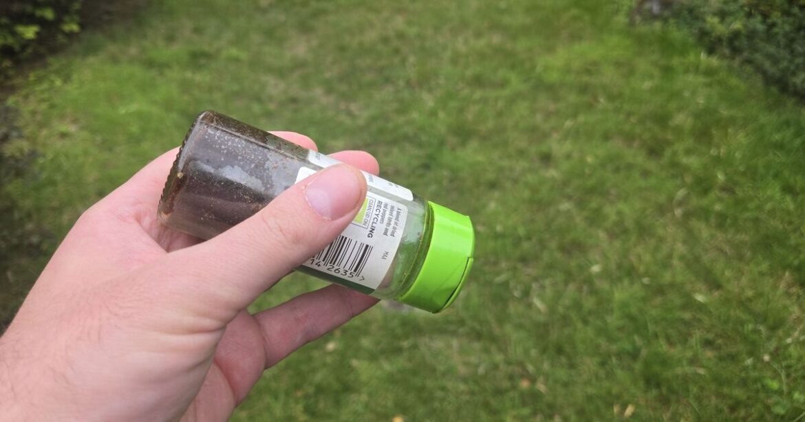 Gardeners urged to sprinkle garlic on lawns Gardeners urged to sprinkle garlic on lawns