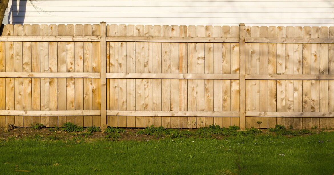 Gardeners urged to cut holes in garden fence in November Gardeners urged to cut holes in garden fence in November