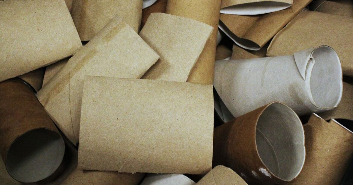 UK households urged to put cardboard loo rolls in garden UK households urged to put cardboard loo rolls in garden
