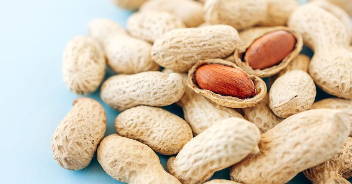 Gardeners urged to leave peanuts on lawns this winter Gardeners urged to leave peanuts on lawns this winter