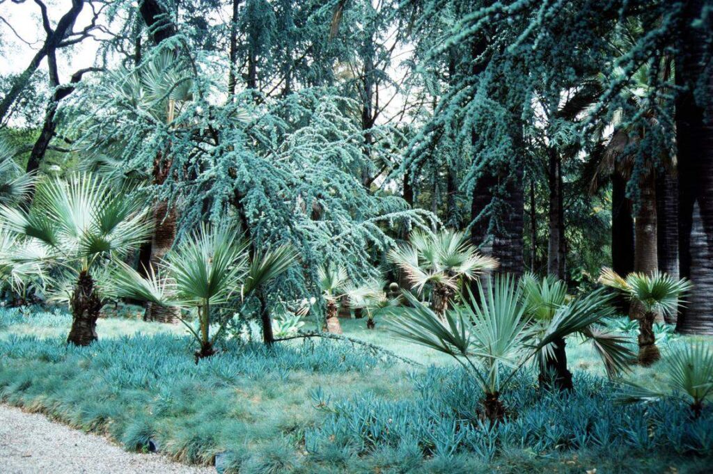 Central Coast has ‘most beautiful garden’ in California, HGTV says. Here’s where Yahoo lifestyle home
