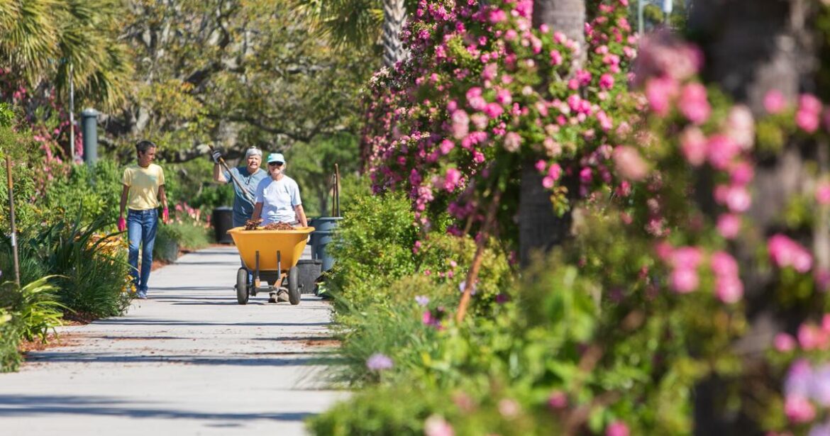 Bloom Charleston is a new family-friendly fall festival Bloom Charleston is a new family-friendly fall festival