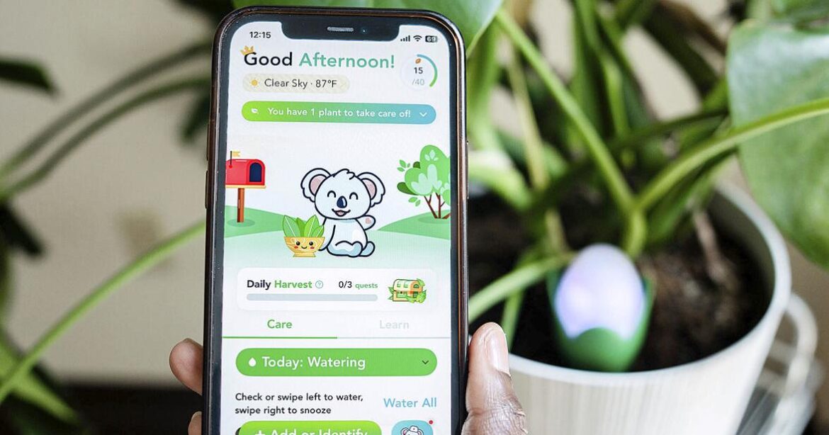 How to use tech in the garden and still keep your serenity | Lifestyles How to use tech in the garden and still keep your serenity | Lifestyles