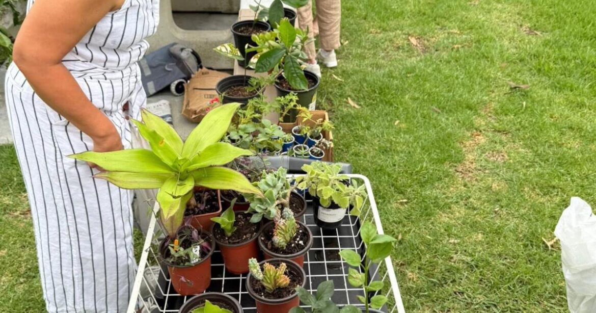 Garden party | Community News