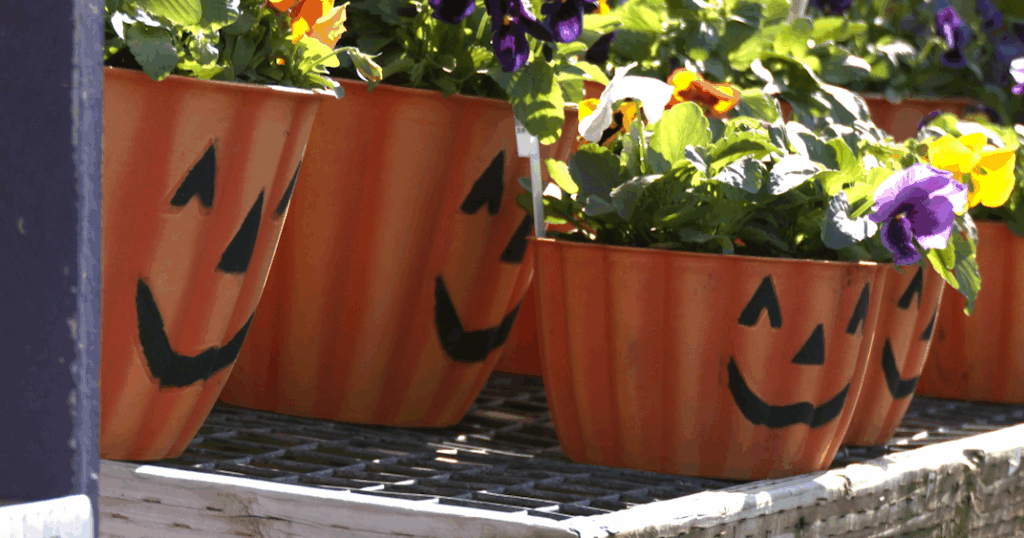 Beaver Bark Garden Center hosts Barktoberfest in Richland | News Beaver Bark Garden Center hosts Barktoberfest in Richland | News