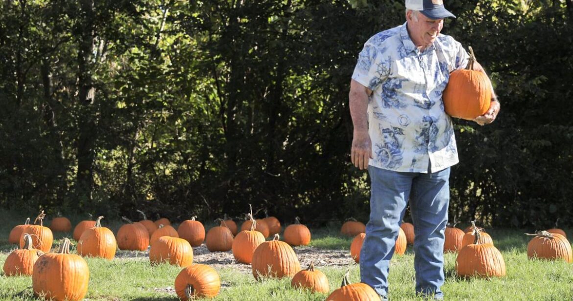 Shiloh Garden hosts its first-ever pumpkin festival, blending Halloween fun with gardening | Arts & Life Shiloh Garden hosts its first-ever pumpkin festival, blending Halloween fun with gardening | Arts & Life