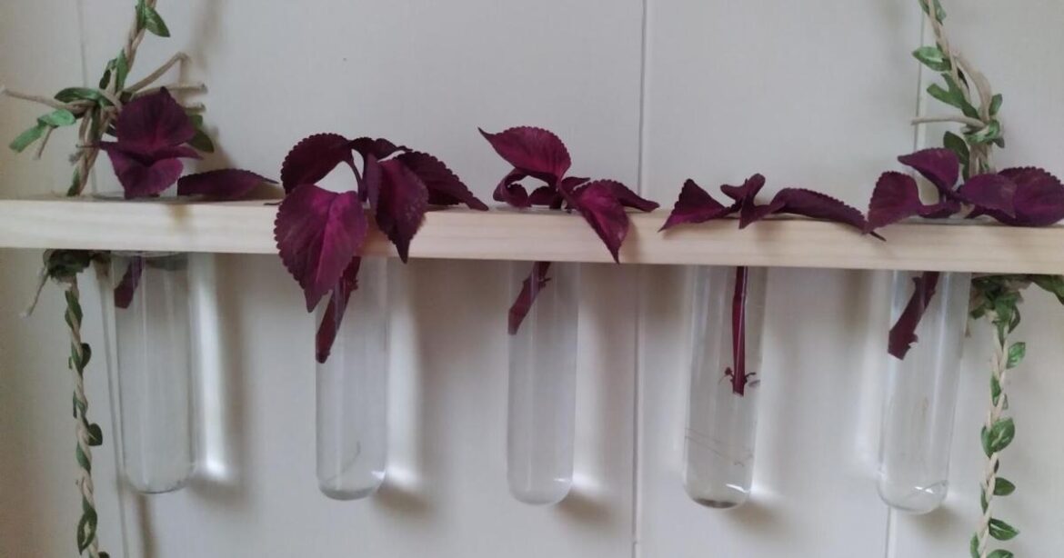 Gardening Briefs - Oct 16, 2025 | The World