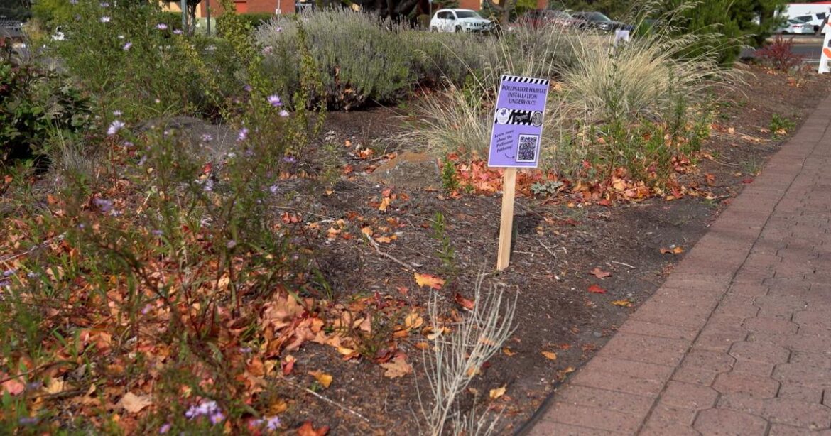 Volunteers wanted for downtown Bend native garden | Local News