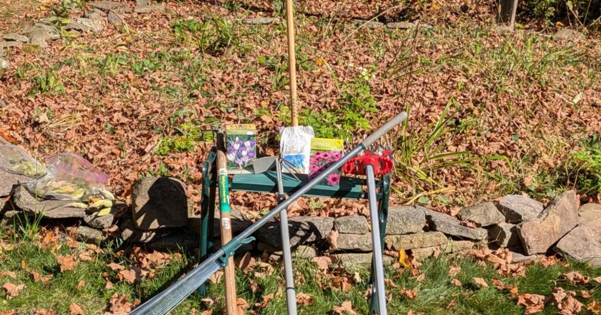 Now is time to complete fall garden tasks: Bloom Chronicles by Jennie Rodriguez-Priest | Lifestyle