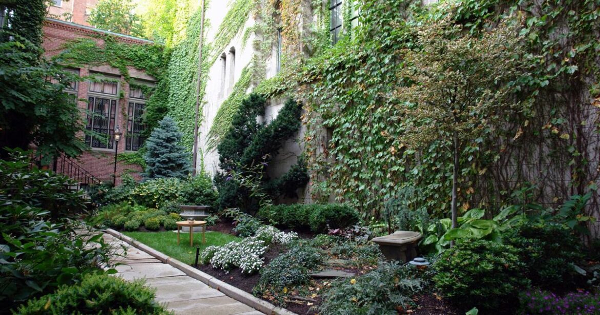 Finding light in beautiful shade gardens