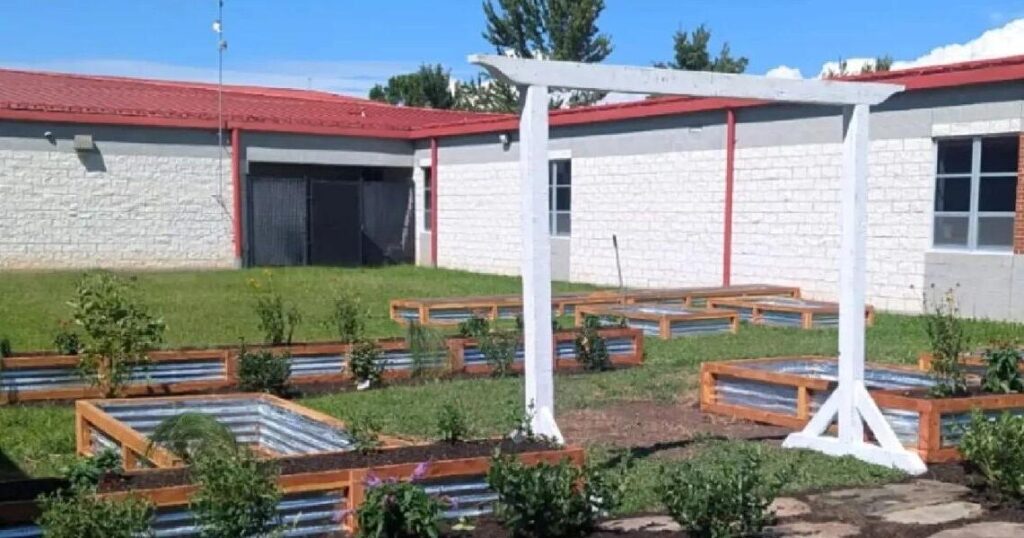 Porter Traditional School gets new student garden | Headlines Porter Traditional School gets new student garden | Headlines