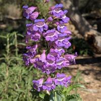 Fall In The Gardens: Nature Tour Saturday | Photos Fall In The Gardens: Nature Tour Saturday | Photos