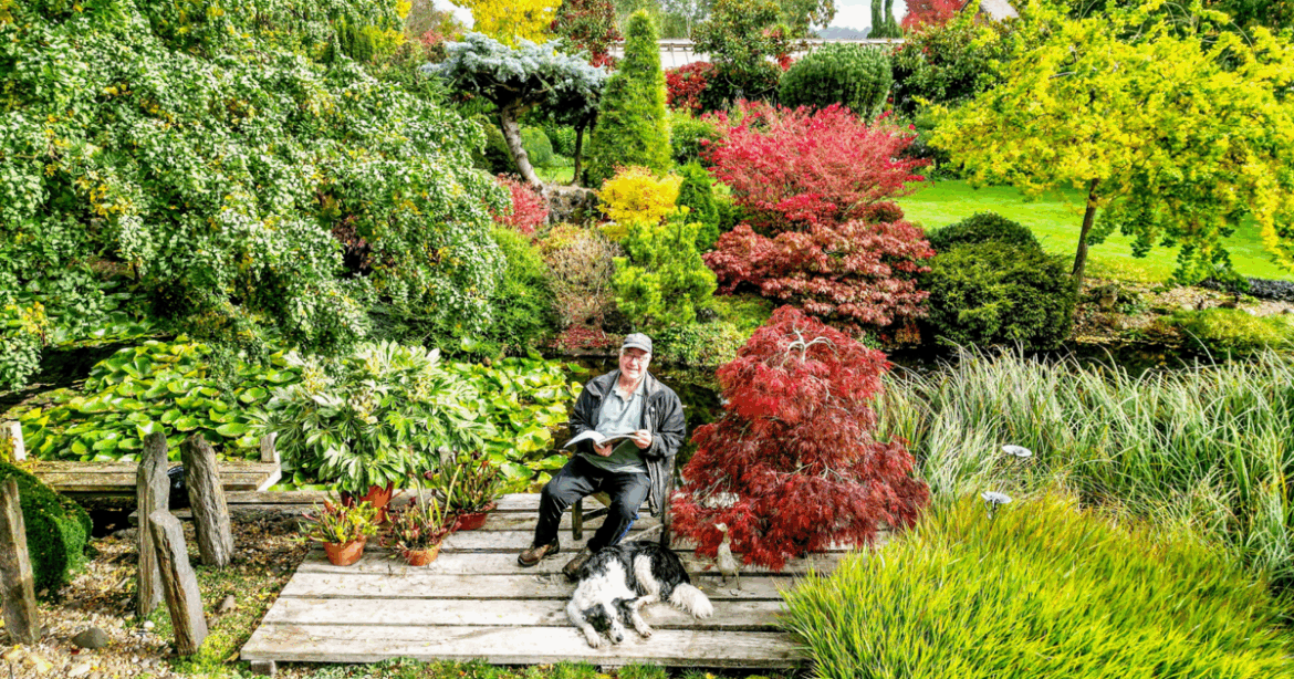 Massive garden displays stunning fall foliage | National Massive garden displays stunning fall foliage | National